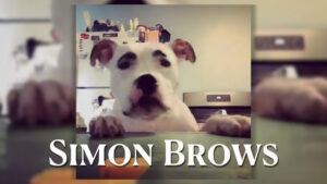 Simon Brows Petumentaries by River Fire Films