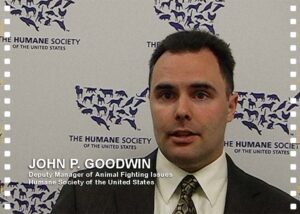 John P. Goodwin of the Humane Society of the United States interviewed on May 6, 2008