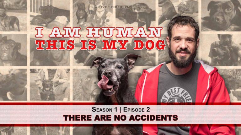 Episode 2 of the I Am Human This is My Dog podcast titled There Are No Accidents