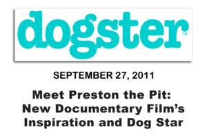 Meet Preston The Pit New Documentary Films Inspiration And Dog Star