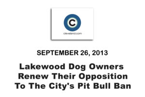 Lakewood Dog Owners Renew Their Opposition To The City's Pit Bull Ban