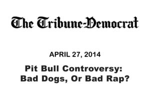 Pit Bull Controversy Bad Dogs Or Bad Rap