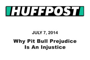 Why Pit Bull Prejudice Is An Injustice