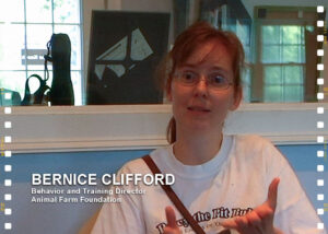 Bernice Clifford, Behavior and Training Director for Animal Farm Foundation, interviewed on June 23, 2009