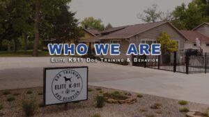 Elite K911 Dog Training and Behavior in North Ridgeville, Ohio