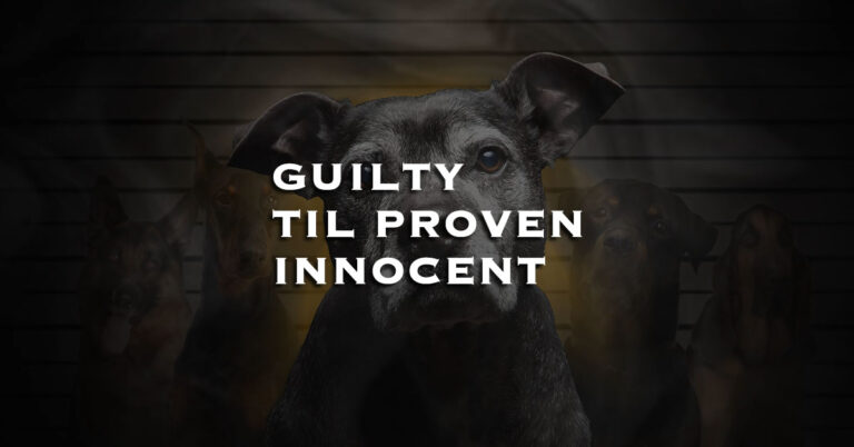 Guilty Til Proven Innocent - A documentary film about breed specific legislation