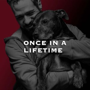 A documentary film about the politics of pit bull dogs