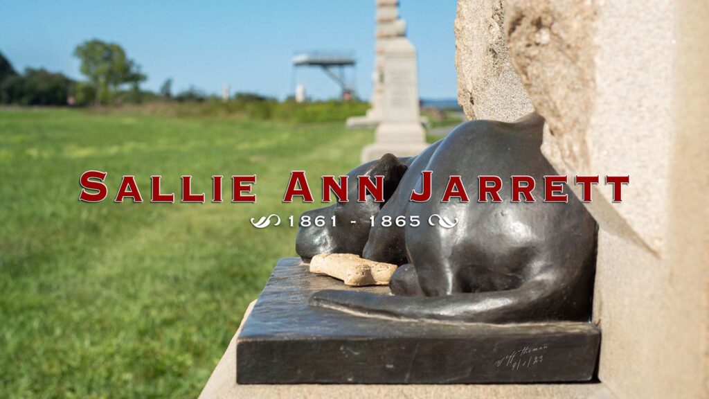 A civil war monument in Gettysburg of a bull and terrier dog named Sallie.