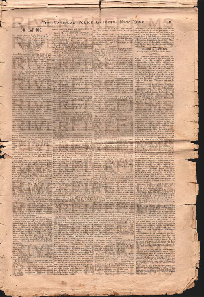 1881 National Police Gazette featuring Llyod's Pilot and his match against Kreiger's Crib