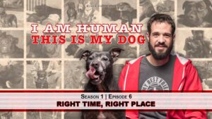 Episode 6 of the I Am Human This is My Dog podcast titled Right Time, Right Place