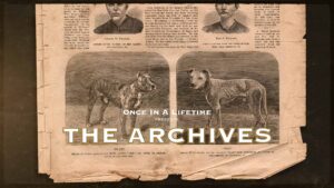 1881 National Police Gazette featuring Llyod's Pilot and his match against Kreiger's Crib