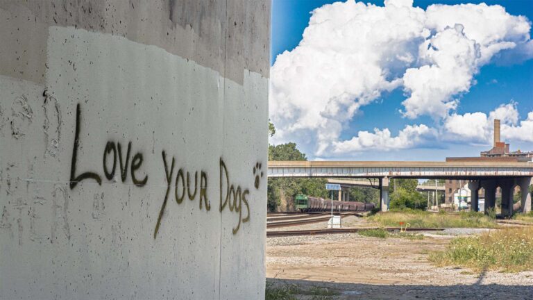 Train Avenue | Love Your Dogs